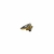 Broche do Botafogo Botton Ping Original na internet