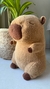 CAPIBARA CON MANTA en internet