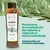 ANYELUZ SHAMPOO WITH ROSEMARY - buy online