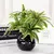 Imagem do Palmeira Artificial Tropical – 36cm com 3 Cabeças | Ramo de Bambu Decorativo