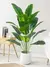 1pc Planta Artificial Grande Palmeira Tropical com Folhas de Bananeira