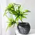 Palmeira Artificial Tropical – 36cm com 3 Cabeças | Ramo de Bambu Decorativo - loja online