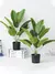 Imagem do 1pc Planta Artificial Grande Palmeira Tropical com Folhas de Bananeira