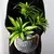 Palmeira Artificial Tropical – 36cm com 3 Cabeças | Ramo de Bambu Decorativo