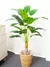 1pc Planta Artificial Grande Palmeira Tropical com Folhas de Bananeira - loja online