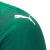 Camisa Palmeiras Sportingbet I 25/26 Jogador Puma Masculina - Verde