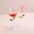 Copos de vinho tinto em forma de rosa com folhas rosas coloridas, Copo Cocktail, - buy online