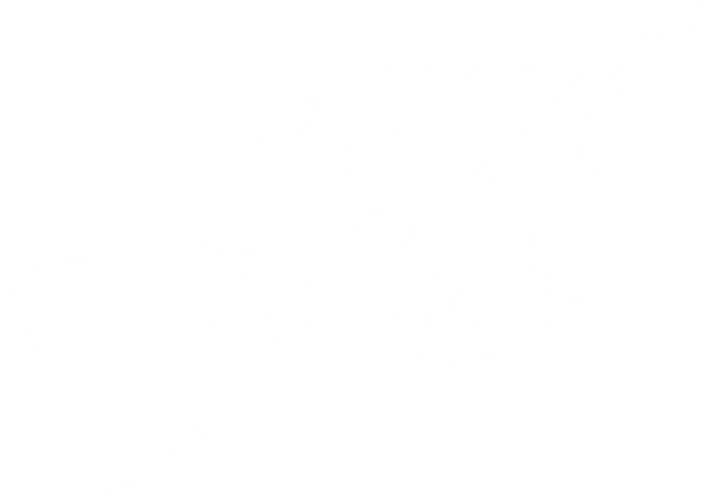 La Forja del Diseño