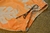Short Fernando Adulto - comprar online