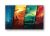 Lámina #563 Póster & Carteles - comprar online