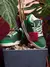 Air Jordan Retro 3 X Nina Chanel Abney Bicoastal