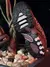 Nike Air Max Plus Drift Marrón - RShoes