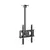 Suporte Para TV Coibeu Ajustável, Suporte Monitor, Suporte Para Monitor, Monitor Support, Suporte Para Televisão, Frete Grátis - comprar online