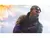 Battlefield V para PS4 - loja online