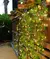 2.3m folhas de seda falso trepadeira folha verde hera videira 3m led luzes da corda para casa. - Lar ideal