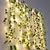 2.3m folhas de seda falso trepadeira folha verde hera videira 3m led luzes da corda para casa.