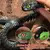3d impresso cobra multi-articulação rotativa estereoscópica cobra. - loja online