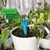 Imagem do Sistema de irrigação por gotejamento automático auto rega ajustável para plantas e flores.