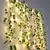 2.3m folhas de seda falso trepadeira folha verde hera videira 3m led luzes da corda para casa. - comprar online