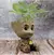 Vasos modernos para flores pote groot jardim vasos plantadores anime estatuetas de decoração. na internet