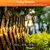 Solar String Lights com lâmpadas LED inquebráveis, intempéries penduradas luzes, luzes ao ar livre do pátio. - Lar ideal