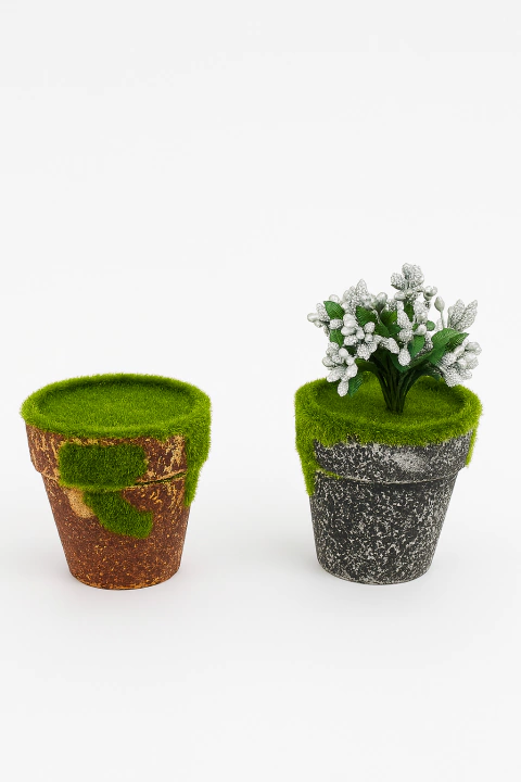Maceta con musgo (8cm) - comprar online