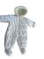 Astromauta Carters en internet