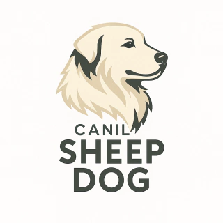Canil Sheep Dog