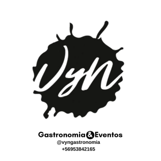 VyN GASTRONOMIA
