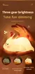 Imagem do Luminária animal - Luz noturna,de silicone, ótima para decoração!