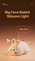 Luminária animal - Luz noturna,de silicone, ótima para decoração! - loja online