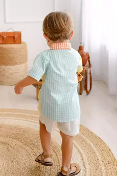Camisa arco íris vichy na internet