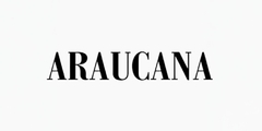 Banner de la categoría ARAUCANA