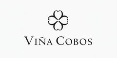 Banner de la categoría VIÑA COBOS