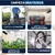 Jet Wash - tienda online
