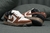 Nike dunk SB Supreme - Ohio Shoes
