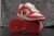 Nike Dunk SB PREMIUM MUJER
