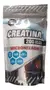 CREATINA MICRONIZ.POUCH.X200 - comprar online