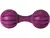 Waggle Busy Buddy PetSafe - comprar online