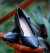 Scarpin Feminino Salto Grosso Napa Beira Rio 4241.200