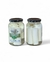 Palmito Tolete 300g - comprar online