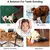 Bola de brinquedo para cães, bola de brinquedo não tóxica resistente à mordi - comprar online