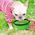 Tigela de comida para animais de estimação portátil durável tpr tigela de co - PetTrend