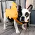 Colete salva-vidas para cães, barbatana de tubarão, filhote de cachorro, jaque na internet