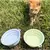 2 pçs dobrável pet silicone cão comida tigela de água acampamento ao ar livr - comprar online