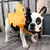 Colete salva-vidas para cães, barbatana de tubarão, filhote de cachorro, jaque na internet