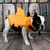 Colete salva-vidas para cães, barbatana de tubarão, filhote de cachorro, jaque na internet