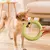 1pc laranja brinquedos para cães pet disco voador anel de treinamento extrator - loja online