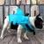 Colete salva-vidas para cães, barbatana de tubarão, filhote de cachorro, jaque - comprar online