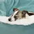 Cama ortopédica para cães com cobertor com capuz inverno quente à prova d'ág na internet